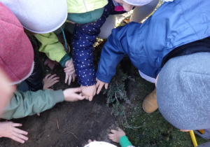 Dzieci przysypują roślinę ziemią